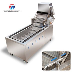 2.6KW Multi-functional fruit and vegetable bubble cleaning machine vegetable