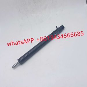 R03902D R04701D A6640170221 R03401D Delphi Diesel Fuel Injectors