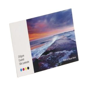 Chemical-Mechanical Pulp Ivory Board Best Choice for Folding Box Board Paper