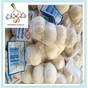 2016 China good farmer garlic 5.0 and 5.5 garlic in USA