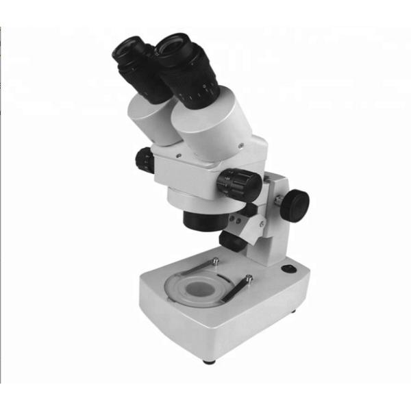 Stereo Microscope