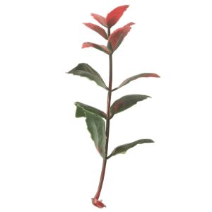 20mm 25mm Artificial Green Walls For Home Decoration