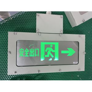 High Strength Aluminium 50000Hours Long Life Explosion Proof Exit Emergency