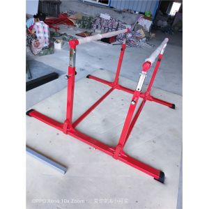 Customized Logo Availabled Mai Dong Gymnastic Training Bar for Gymnastic