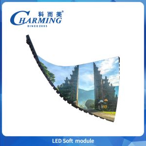 Newest 320x160mm P2/P2.5/P3/P3.076/P4 Soft Indoor Fixed Module 220V HD Pre