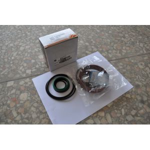 SP102908 S/10C0114 Backhoe Loader Parts Steering Cylinder Repair Kit