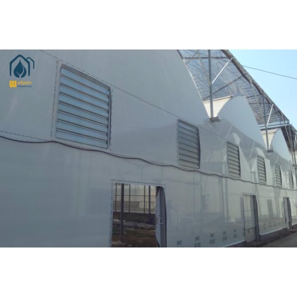 Quality Agriculture Tomato Intergrated Multispan Horticulture Greenhouse With Metal Frame wholesale