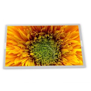 Cheap Customizable 19.0-Inch WLED WLED LCD Display Module with 1280*1024 Resolution ODM FLC48SXC8V-11A Modules for sale