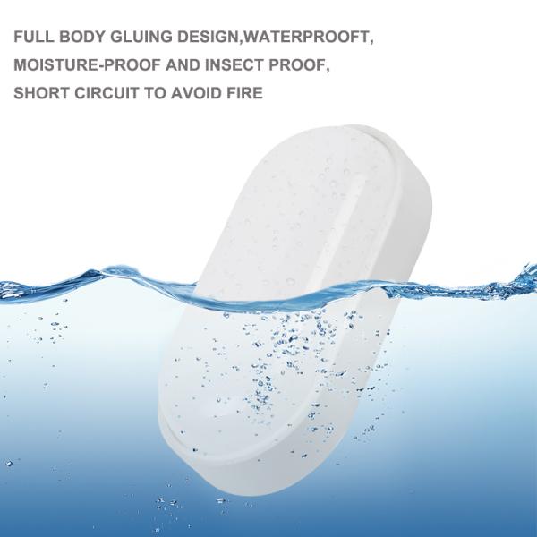 NO Dimmer 15w 20w IP65 Wall Mounted Outdoor LED Moisture-Proof Lamp for Russia Buyers