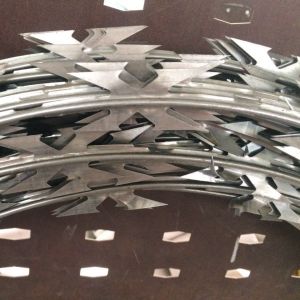 Galvanized Competitive Price Razor Bared Wire Concertina Barbed Protection Fence
