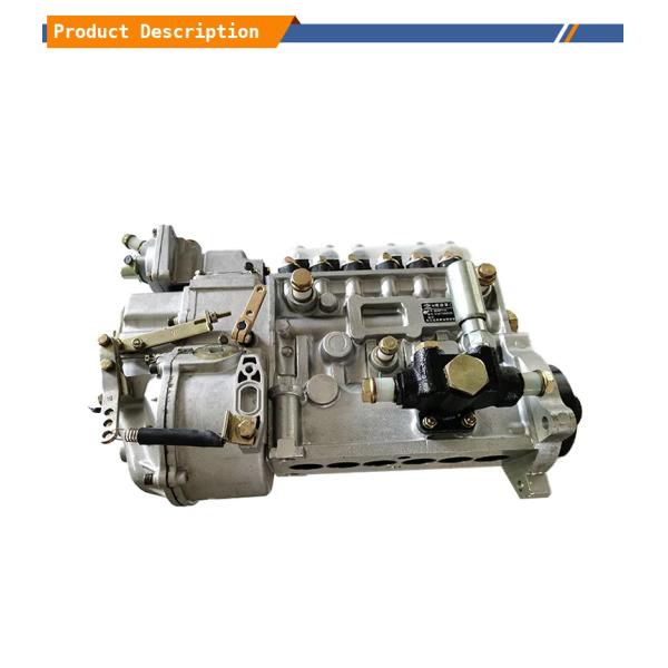 Heavy Construction Machinery Engine Parts CP61Z-P61Z616BP5B5 Fuel Injection Pump Assembly