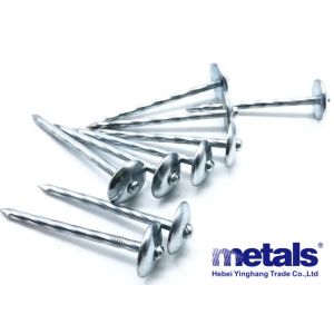 BWG9 X2.5 Inch Electro Galvanized Nails Umbrella Head Twisted Shank 8 Boxes