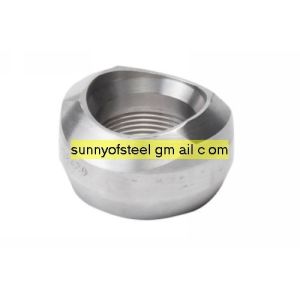 Cheap Alloy C-4/Hastelloy C-4 forged socket welding SW threaded pipe fittings fitting for sale