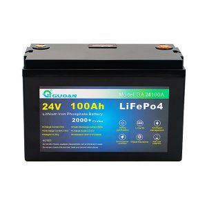 2000 Plus Cycle Portable LifePO4 Battery 24V 100Ah Practical Multiscene