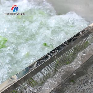 85KG Fruit and vegetable ultrasonic cleaning machine seafood cleaning machine