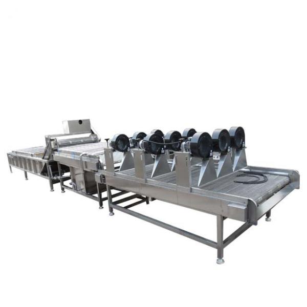 Quality 400-600kg Fruit Vegetable Processing Machine Automatic  Fruit Drying And Sorting wholesale