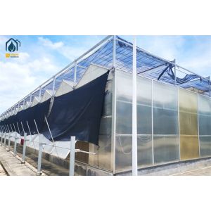Custom Polycarbonate Greenhouses For Organic Farming And Commercial Use