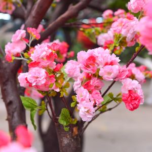 250cm Plastic Artificial Cherry Blossom Tree Decoration Plant For Reception