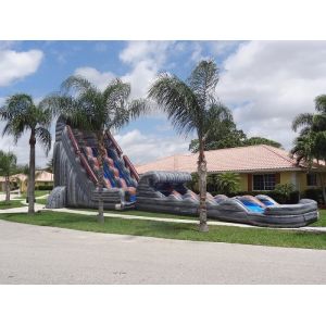 Amusement Park 30 FT 2 Lane Inflatable Water Slides Custom PVC Waterproof