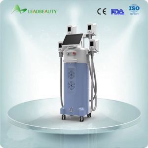 2015 multifunction lose weight 4 cryolipolysis heads 4 handls cryolipolysis