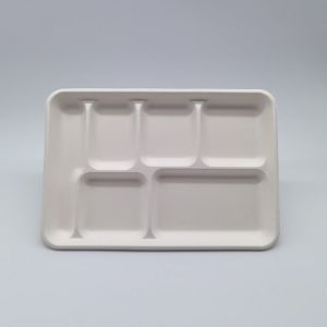 6 Compartment Disposable Plates Biodegradable Divided Rectangle Tray