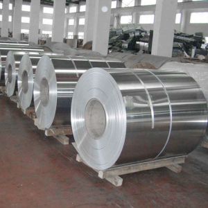 Z10-Z29 Coating Dx51d Dx52d Dx53d Galvanized Steel Coils 0.3 0.7 mm for Cold