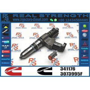 China Diesel Common Rail Injector 341176 3411381 3411762 For CUMMINS N14 Diesel Engine Parts on sale