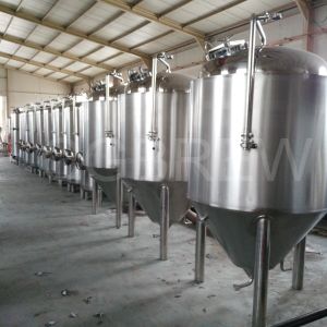 China 1000L craft beer brewery equipment with stainless steel conical fermenters on sale