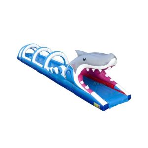 Cheap Indoor Large Inflatable Shark Belly Slide with 10 Passenger Capacity and Shark Water Slide for sale