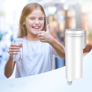 G/E Profile Opal Ice Maker Water Filter NSF Certified Replace Every 3 Months for