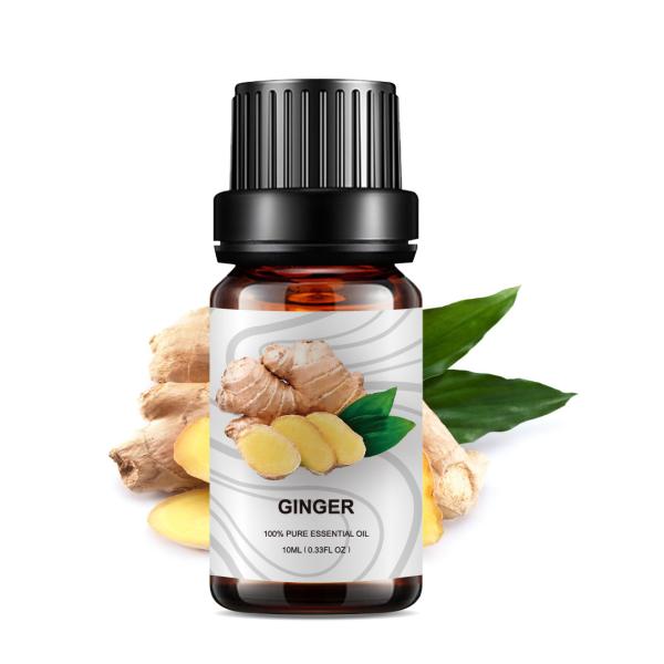 Quality Massage Ginger OEM Essential Oil Weight Loss 100% Natural JIANFENG wholesale