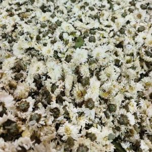 China Natural Cultivation Dried Chrysanthemum Tea Chrysanthemum Flower Tea on sale