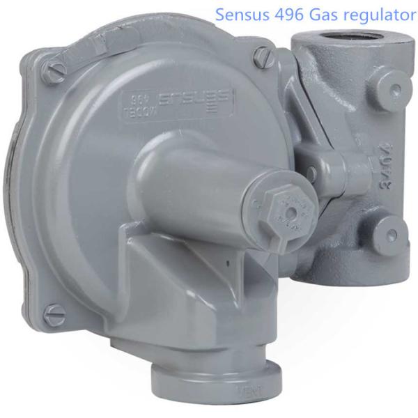 Domestic Two Stage Gas Regulator High Precision Durable Cast Iron Body Sensus