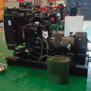 50kw Diesel Generator Soundproof Type Three Phase Engine with IP23 Protection