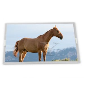 TCG057QVLCA-G00 WLED 5.7-Inch TFT LCD Display Module with 320*240 Resolution ODM