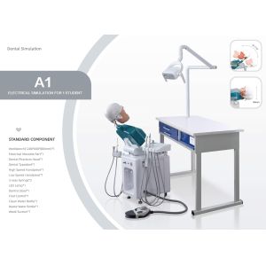 Storable Phantom Head Dental Simulator Unit Multifunctional Removable