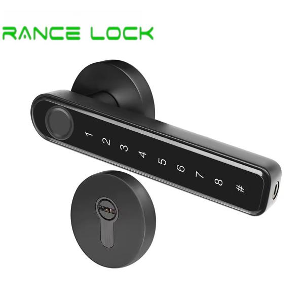 Remote Control Fingerprint Door Lock Security Fingerprint Passcode Lock With