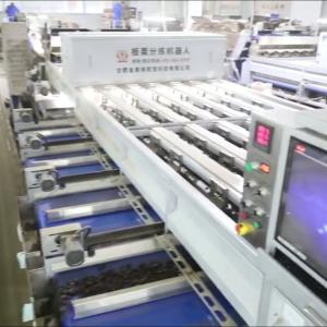 Cheap High Capacity 8 lanes+8 outlets Chestnut Sorting Machine: Bulk Processing, Enhanced Productivity for sale