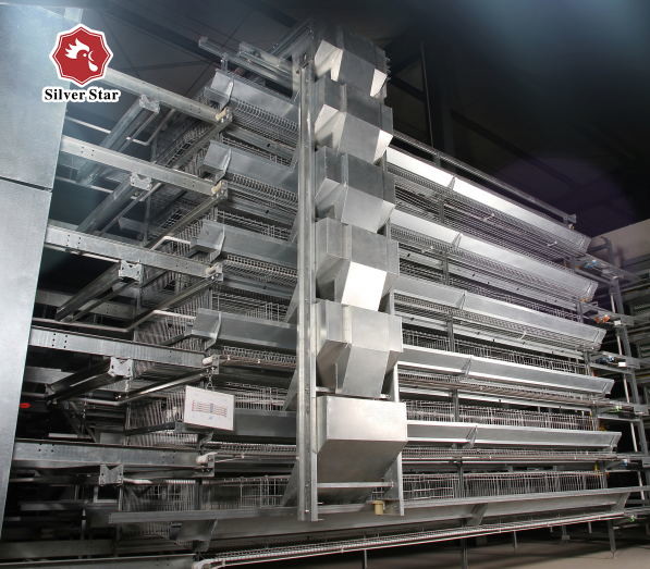 Quality H Type Automatic Layer Chicken Cage Poultry Chicken Farm Used wholesale
