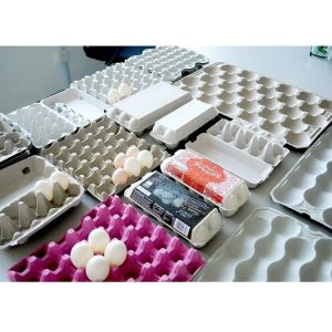 Paper Egg Tray Production Line, Egg Carton Making Machine, mold made to customer