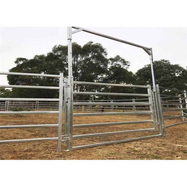 Quality 1.8*2.1m Galvanized livestock Cattle panels wholesale