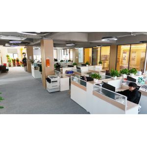 Shenzhen Taimeng Technology Co., Ltd