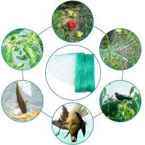 Cheap Invisible Anti Bird Net Bird Insect Protection Net for Tree Crop Protection for sale