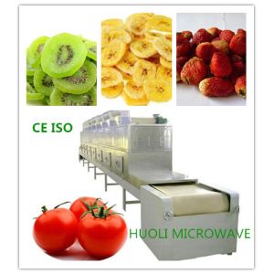 High Speed Microwave Drying Equipment for Potato Chips Food Processing Dryer