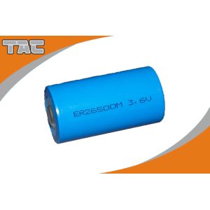 High Power 3.6V 26500 Energizer Lithium battery For Alarm Systems