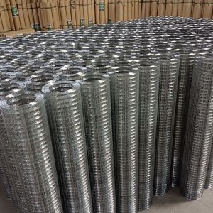 Raising Animals 1X1/2 Inch 16 Gauge Galvanized Welded Fencing Wire Mesh Roll