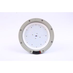 Cheap IP65 Gas Station Canopy Light Explosion Proof Lamp With Cover for sale