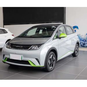 China Dolphin Automobile New Energy Electric Vehicle EV Byd Electric Car on sale