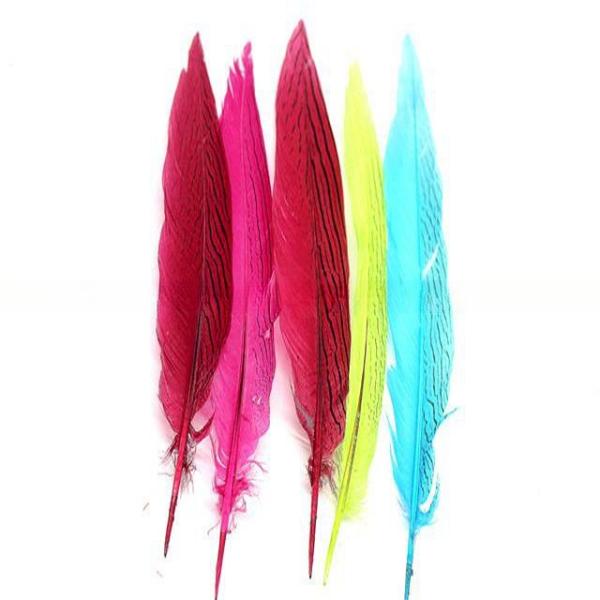 Shipping Worldwide Silver Pheasant Feather for Carnival Costumes and Party Decoration