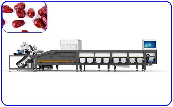 Quality 380V 8.5KW Dates Sorting Machine 16 Lanes AI Optical Grading Machine wholesale